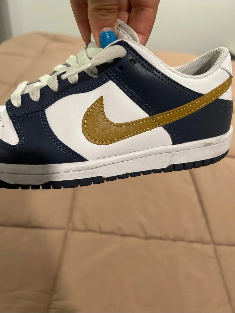 Nike Dunks
